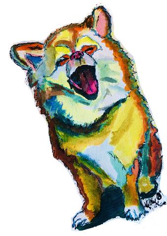 Pet Portrait
