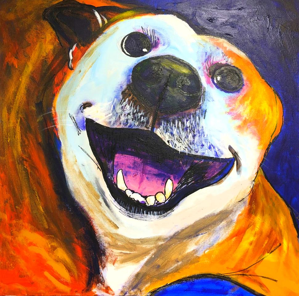 Pet Portrait