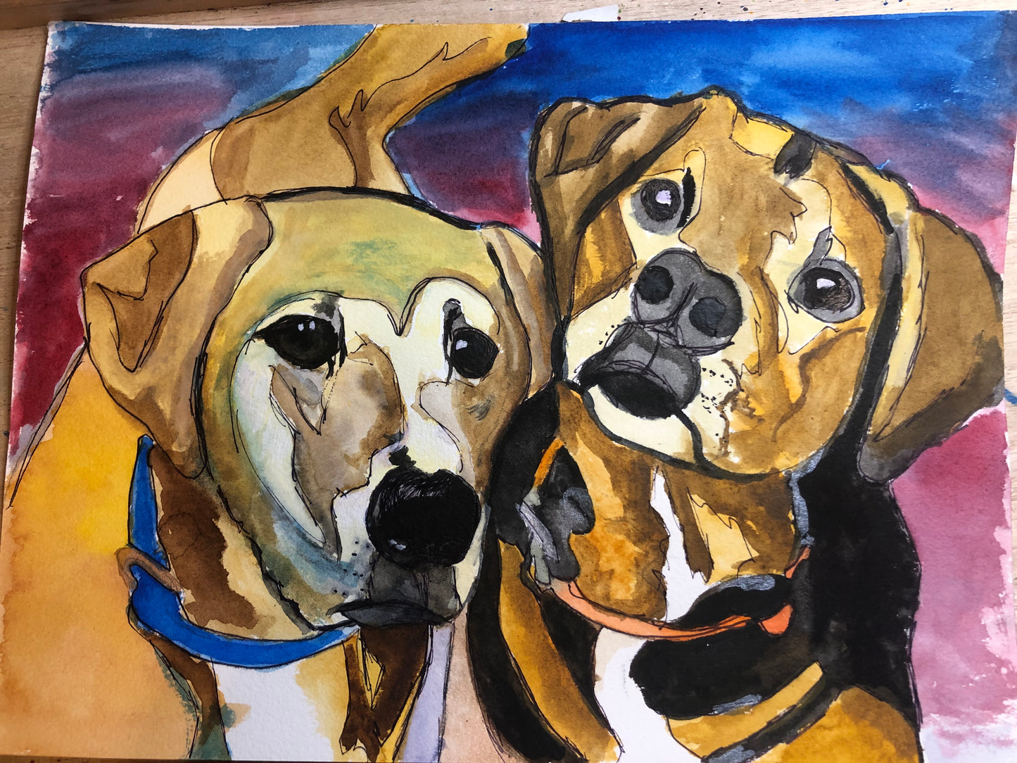 Pet Portrait